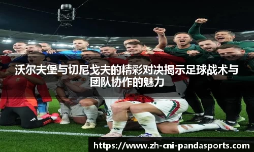 熊猫体育平台